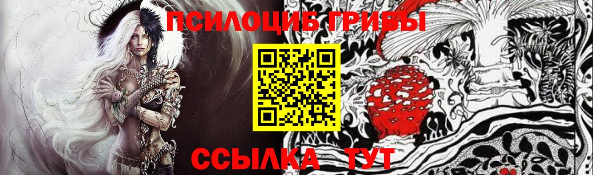 цена   Вход с VPN  Ачинск  Галлюциногенные грибы MAGIC MUSHROOMS 
